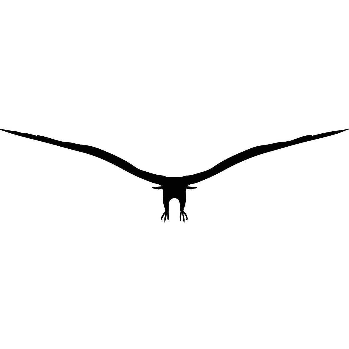 eagle-2881543_1280